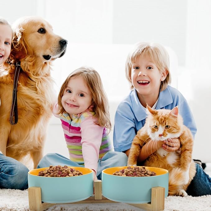 Ceramic Elevated Cat Bowl Double Pet Bowl with Matte Blue-Yellow Interior and Wood Stand, Small Size Household Feeding and Watering Dish for Kittens and Cats