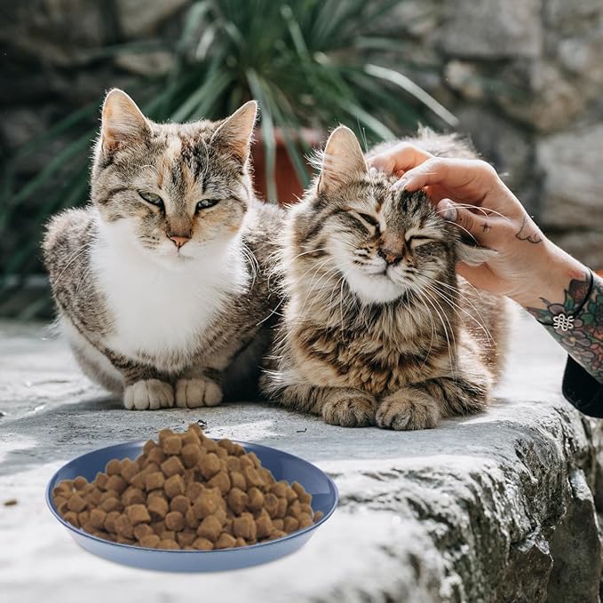 SHINEOFI 8pcs Cat Food Dish Set Shallow Wide Bowls, Round Sturdy Plastic Pet Feeding Plates for Wet and Dry Food, Mixed Colors, Suitable for Multi-cat Feeding and Watering Random Style