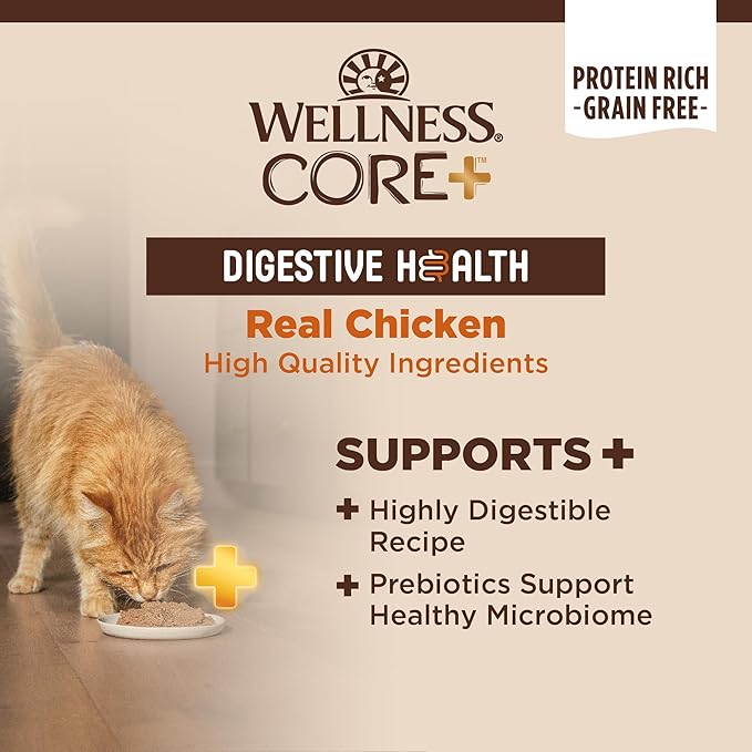 Wellness CORE+ Digestive Health Pate Adult Canned Wet Cat Food, Natural, Protein Rich, Grain Free, Chicken Recipe, 3 oz, Pack of 12 Cans