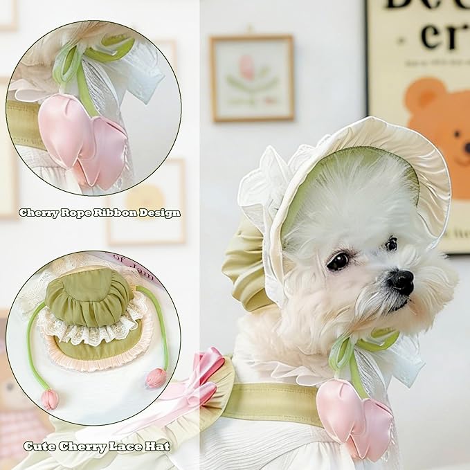 2 Pcs Pet Floral Dress and Lace Sunhat, Summer Skirt with Laces for Dog, Cute Bowknot Dresses for Cat, for Birthday Party and Outdoor Travel (Green, Large)