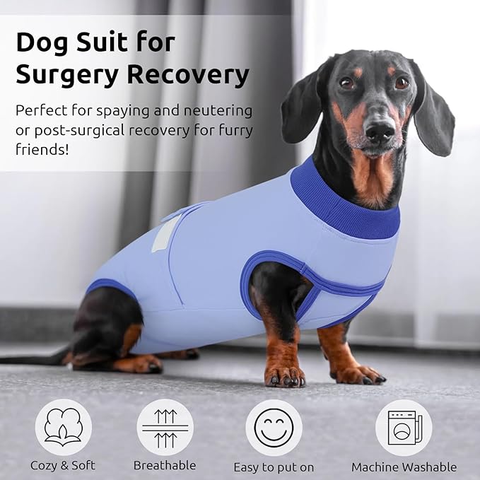 Queenmore Recovery Suit for Dogs, Dog Surgical Recovery Suit Onesie,Anti Licking Pet Female Spayed Neutered Puppy Surgical Clothes for Abdominal Wounds, Substitute E-Collar & Cone, Sky Blue,L