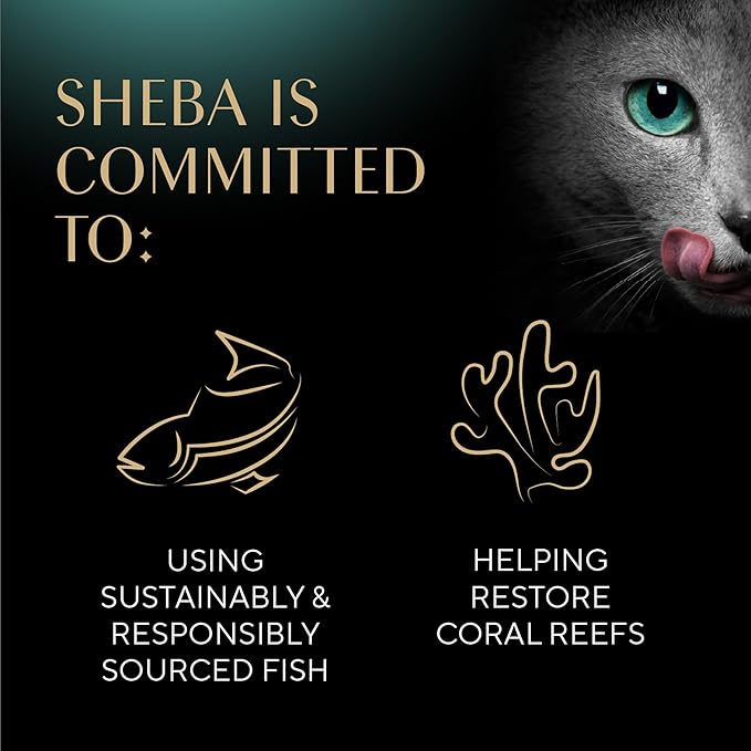 Sheba Perfect Portions Kitten Wet Cat Food Pate Chicken Entree, Salmon Entree, and Turkey Entree, 2.6 oz. Twin-Pack Trays (24 Count, 48 Servings)