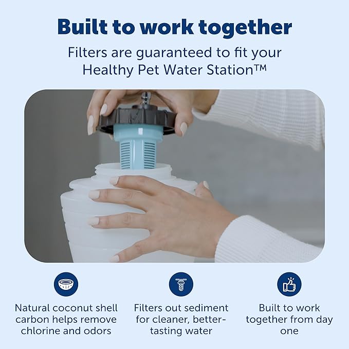 PetSafe Healthy Pet Food & Water Stations - Cat & Dog Food Storage Container - Filter Included with Waterer - Keeps Food & Water Fresh - Suitable for Small, Medium, & Large Dogs - Stainless Steel Bowl