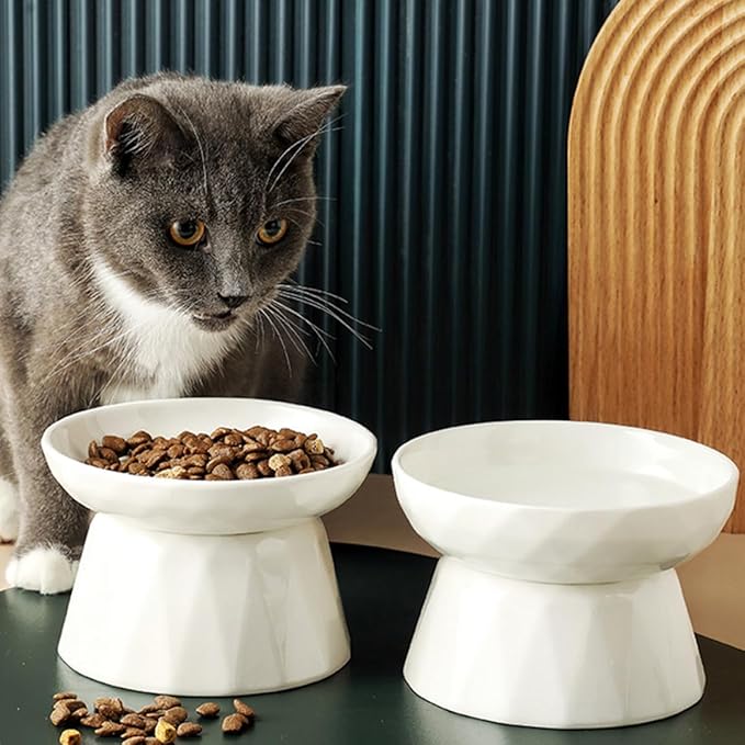 Homoyoyo Raised Ceramic Cat Food Bowl Neck Protection, Elevated Slow Feeder Dish for Kitten Feeding and Watering, Ergonomic Pet Bowl for Cats and Small Dogs