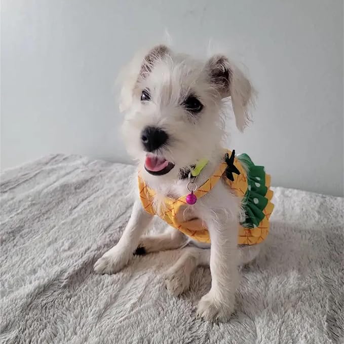 Funny Dog Swimwear Bikini Summer Dog Clothes Beach Swimsuit Puppy Bathing Suit Puppy Vest Cooling Pet Shirt for Small Dogs, Cat Apparel (XX-Large, Yellow Pineapple)