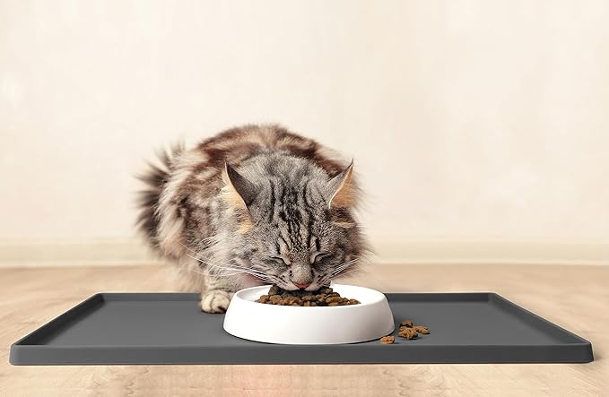 CatGuru Cat Bowls, Whisker Friendly Food Bowl for Indoor Cats, Reliefs Whisker Fatigue, Wide Kitten Dish, Non Slip Pet Dishes, Shallow Pet Plates (Marshmallow, (Pack of 2))