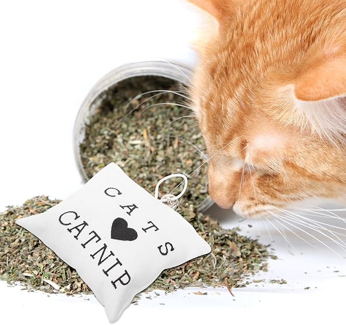 Gadpiparty 3pcs Catnip Kitten Chew Embroidery Canvas Catnip Bags Teeth Cleaning for Indoor Cats Healthy Kitten Play Supplies Random Color