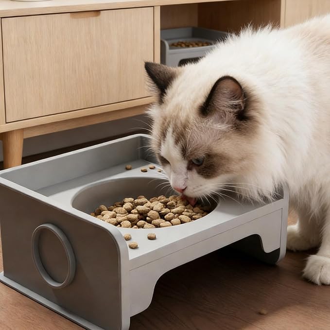 Pet Food Bowl with Stable Base Feeding and Watering for Active Cats Dog Indoor Outdoor Camping Feeding Tool Pet for Water and Food