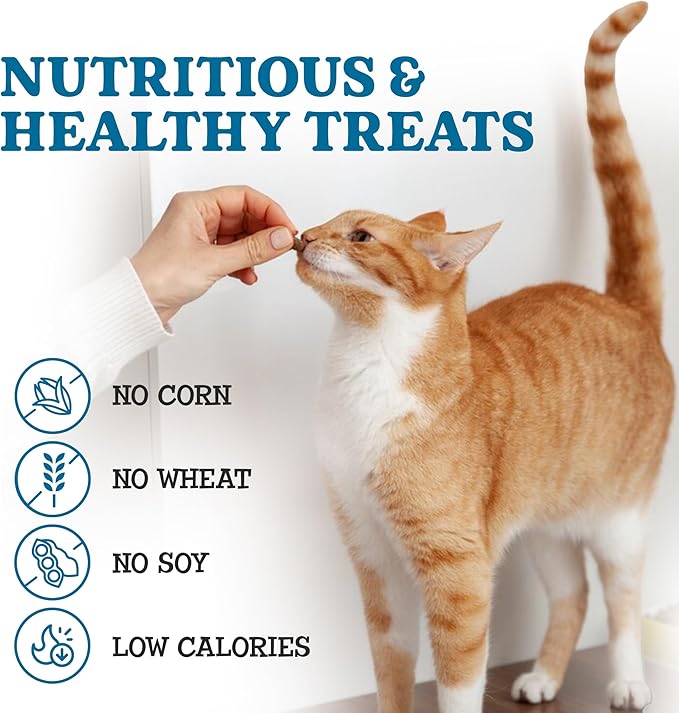 Cat Treats - Meat 'N Greets - Soft Jerky Treats with Real Meat, High Protein, Grain-Free, Perfect for Training & Rewarding, All Natural Snacks for Cats - Turkey Flavor