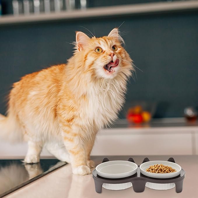 ERINGOGO Ceramic Elevated Cat Food Bowl Set with Anti-Slip Rack, Thickened Brown Double Bowls for Indoor Cats, Raised Floor Pet Feeding and Watering Station