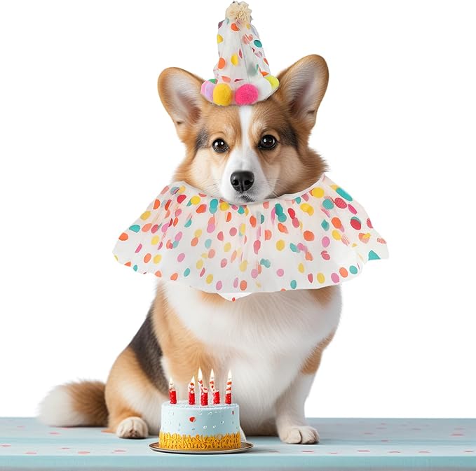 Cat Costume, Cat Birthday Bandana Scarf and Party Hat, Dog Birthday Decorations Set, Pet Outfit for Birthday Party Christmas, Medium