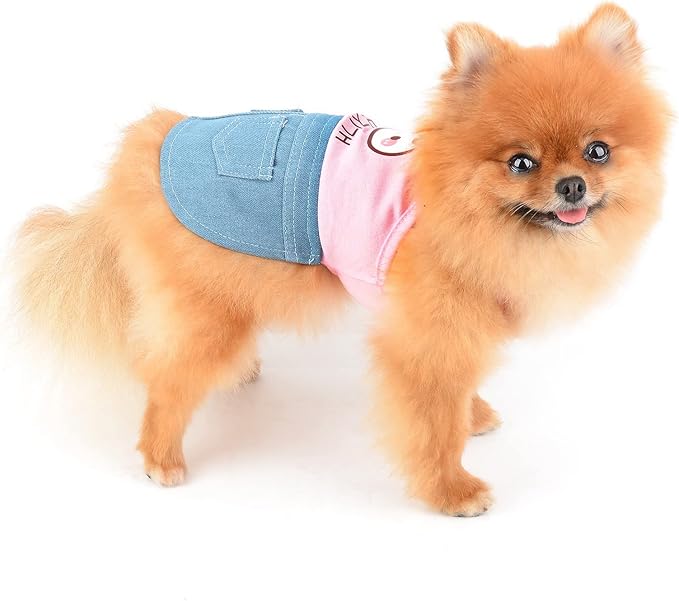 PAIDEFUL Small Girls Dog Denim Dress Spring Summer Sundress Cartoon Patch Soft Comfortable Puppy Clothes Cute Sleeveless Pullover Cats Costume Birthday Party, Pink, XS