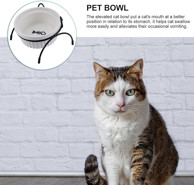 Ceramic Cat Bowl with Raised Black Metal Stand, Whisker-Friendly High Base Pet Food and Water Bowls Set for Cats, Neck Protection Elevated Feeder for Indoor Use