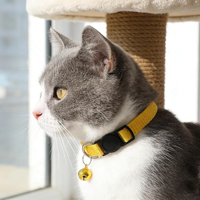 13 Pcs Cat Collar Breakaway Collar for Cats Colorful Cat Collars with Bell Adjustable Safety Buckle Kitten Collars Mixed Colors