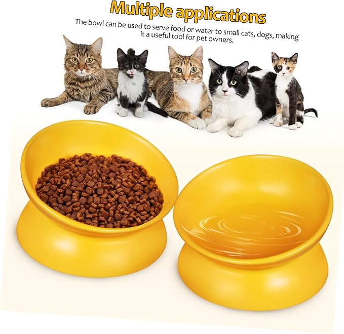 ibasenice Elevated Ceramic Cat Bowl Stylish Design for Pet Feeding and Watering Comfortable Height for Easy Access Versatile Use for Cats and Dogs