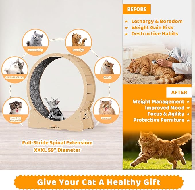 Homegroove XXXL Giant Cat Wheel, 59"/150cm Extra Large Cat Exercise Wheel for Maine Coon & Large Cats - Spinal Alignment Design, Solid Wood Cat Treadmill with Safety Lock & Anti-Pinch Gap