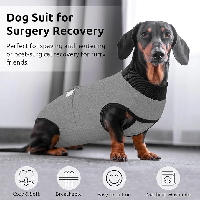 Queenmore Recovery Suit for Dogs Cats After Surgery,Dog Surgical Recovery Suit Onesie,Anti Licking Pet Female Post-Operative Spayed Neutered Puppy Surgical Clothes for Abdominal Wounds, Grey S