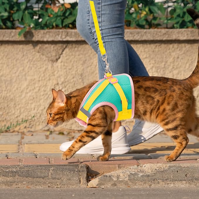 Cat Harness and Leash Set Escape Proof, Adjustable Cat Vest Harnesses Soft Kitten Harness Reflective Strips Jacket with Flower, Breathable Mesh Harnesses for Cats Puppy Easy to Wear Outdoor Walking