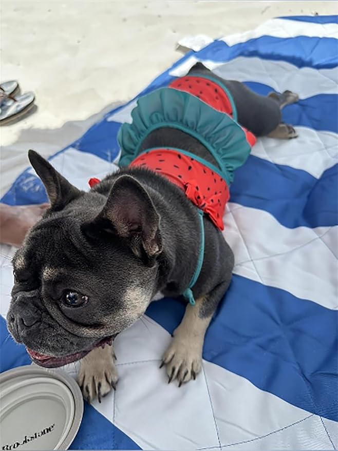 Funny Dog Swimwear Bikini Summer Dog Clothes Beach Swimsuit Puppy Bathing Suit Puppy Vest Cooling Pet Shirt for Small Dogs, Cat Apparel (Watermelon, X-Small)