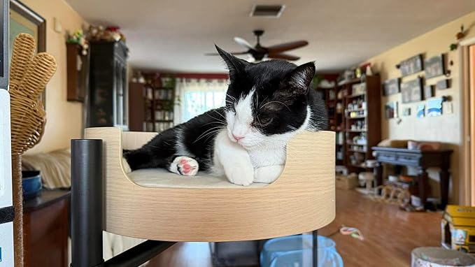 Desk Nest® Cat Bed – Space-Saving, Elevated Bed for Cats – Keeps Desks Clear, 360° Adjustable, Supports 25 lbs – Secure, Stylish and Durable – Perfect for Home Office – White Oak Finish