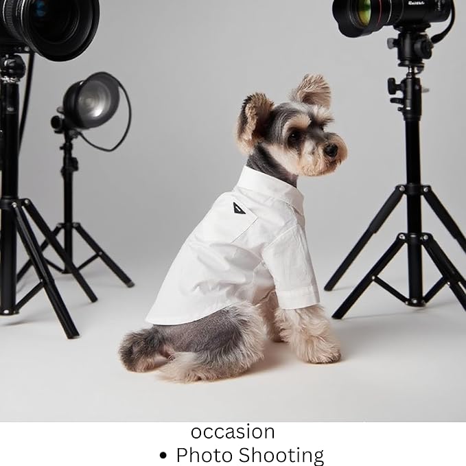 Luxury Pet Dress Shirt for Dogs & Cats – White Designer Button-Up Outfit, Formal Clothes for Wedding, Party, Photoshoot, Puppy & Kitten Fashion Apparel (Large 8.9–15.4 lbs)