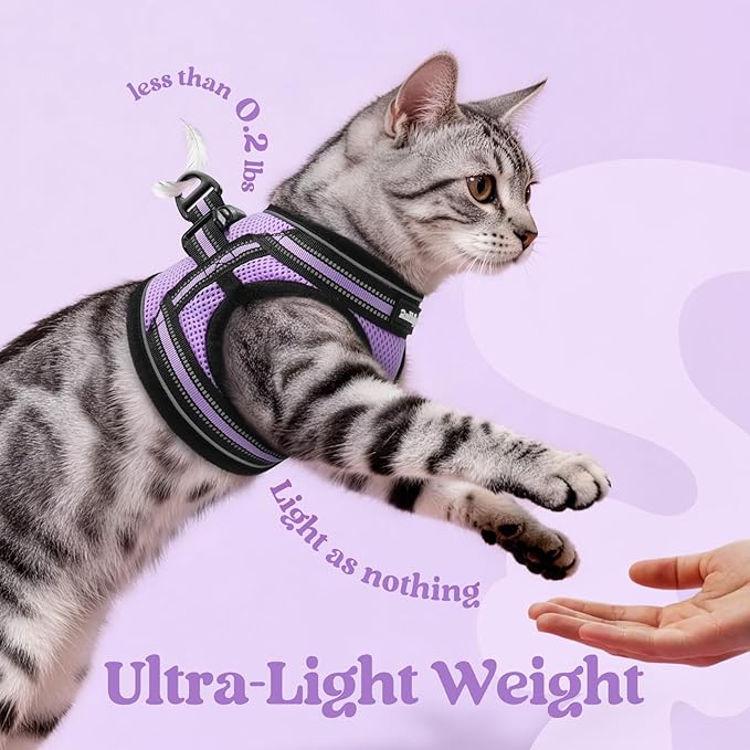 rabbitgoo Cat Harness and Leash Set for Walking Escape Proof, Adjustable Soft Kittens Vest with Reflective Strip for Cats, Comfortable Outdoor Vest, Light Purple, M