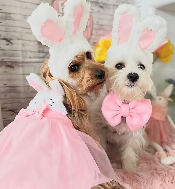 Rabbit Ears Hat for Cats & Small Dogs - Adjustable Plush Bunny Costume Headband for Easter, Halloween & Pet Party Dress Up (White)