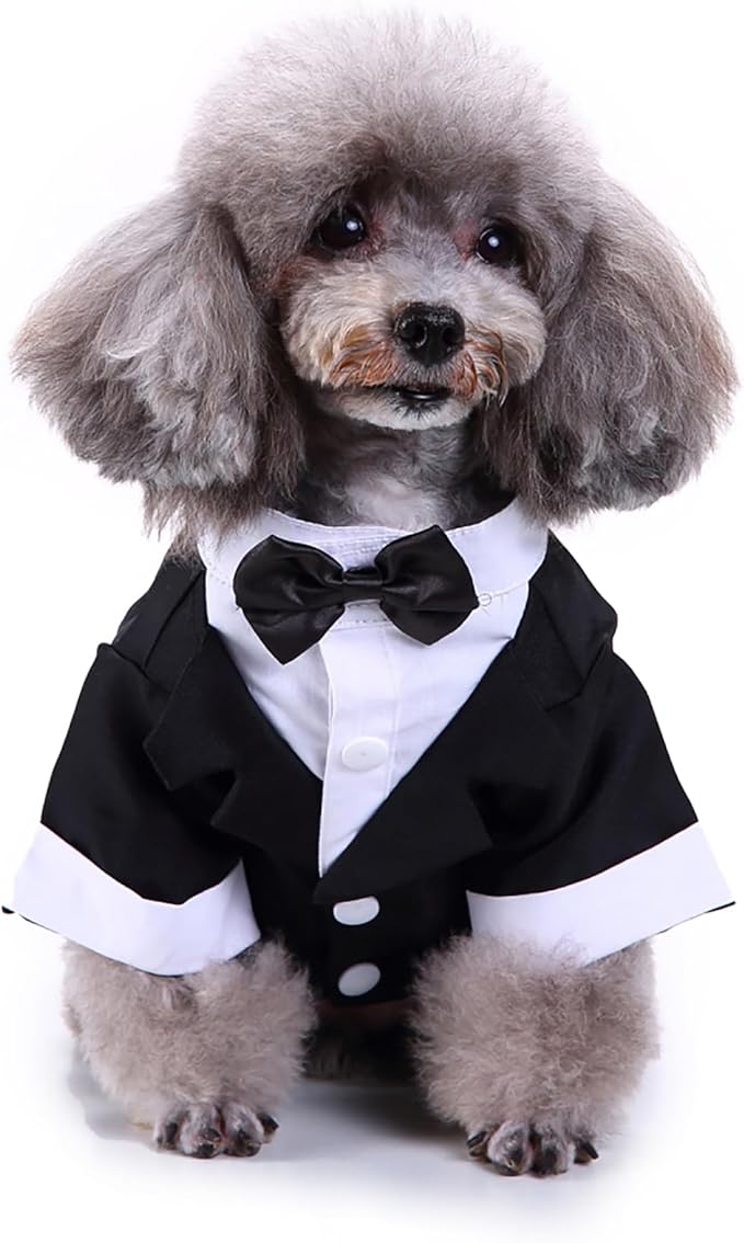 GabeFish Pets Wedding Jackets Suit for Dogs with Bow Tie Puppy Cat Formal Clothes Shirt Tuxedo (Black, S (Chest 12.9in/33cm)