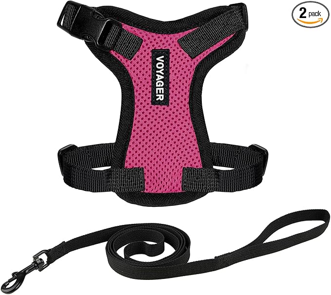 Voyager Escape-Proof Step-in Lock Cat Harness & 5ft Neoprene-Handle Leash Set All-Weather Mesh with Reflective Stitching for Small to Large Cats by Best Pet Supplies, Fuchsia/Black Trim, XXXS