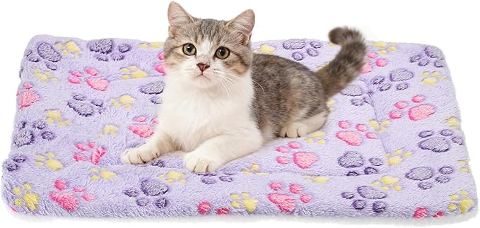 Dog Cat Bed Mat, Soft Coral Fleece Pet Cushion Pad with Cute Paw Print, Warm Washable Pet Bed 19x13 Inches, (Purple), Intended for Medium Small Dog Cat