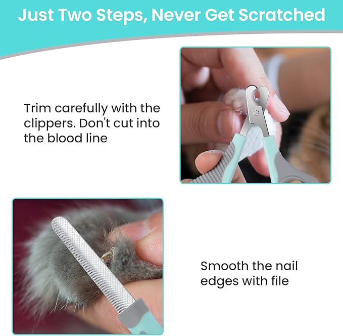 Cat Nail Clippers for Indoor Cats, Cat Nail Trimmers with Nail File, Cat Claw Clippers, Pet Nail Clippers for All Kinds of Cats, Puppy, Kitten, Chinchilla, All Small Breeds Pets