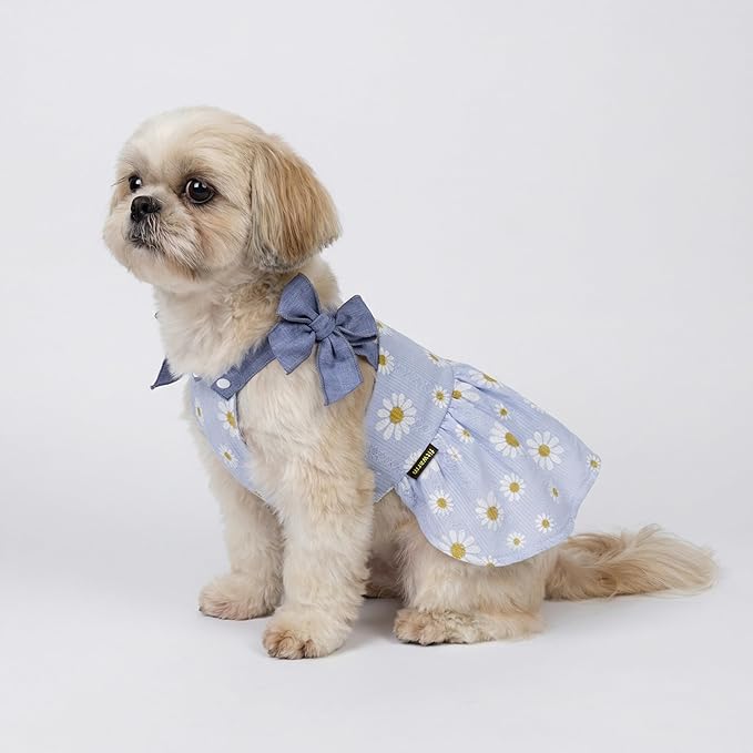 Fitwarm Daisy Dog Dress, Elegant Summer Clothes for Small Dogs Girl, Lightweight Pet Clothes, Blue, White, XS