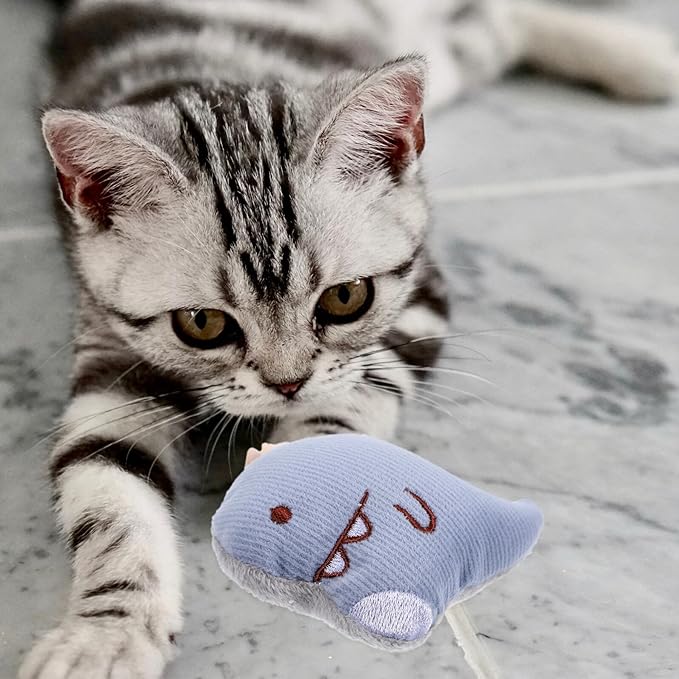 TEHAUX 3pcs Plush Catnip for Cats Interactive Chew Indoor Outdoor Pet Playthings Cute Cartoon Design