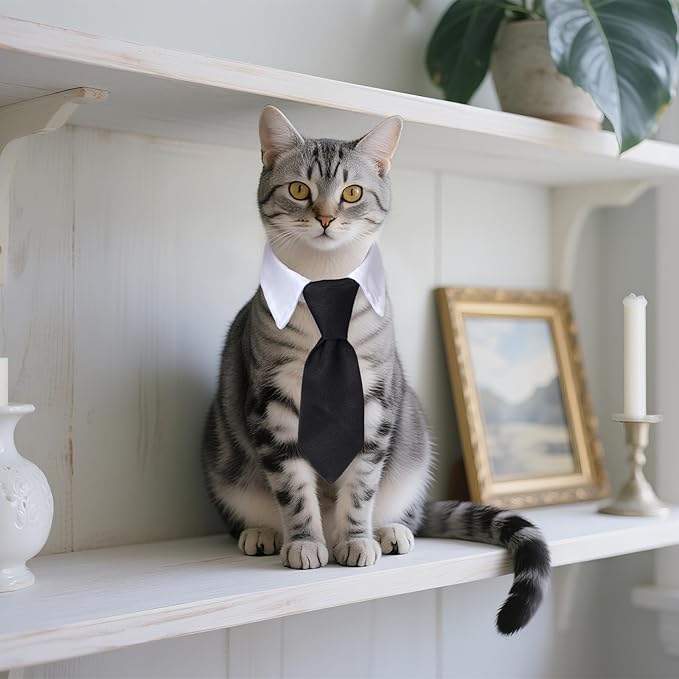 2Pcs Pet Cat Tuxedo Bow Tie Collar, Pets Adjustable Formal Necktie Collar for Cats Small Dogs Puppy Birthday Wedding Gift Costume Accessories