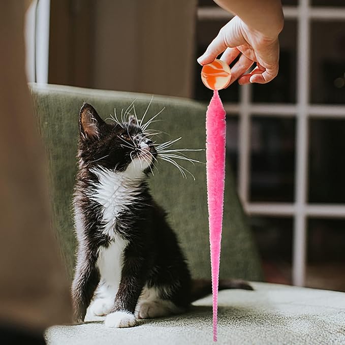 Bouncy Ball with Tail Cat Toys,5 Packs Magic Worm with Large Colorful Ball Toy for Cats,Fuzzy Worm Bouncy Balls Cat Toy