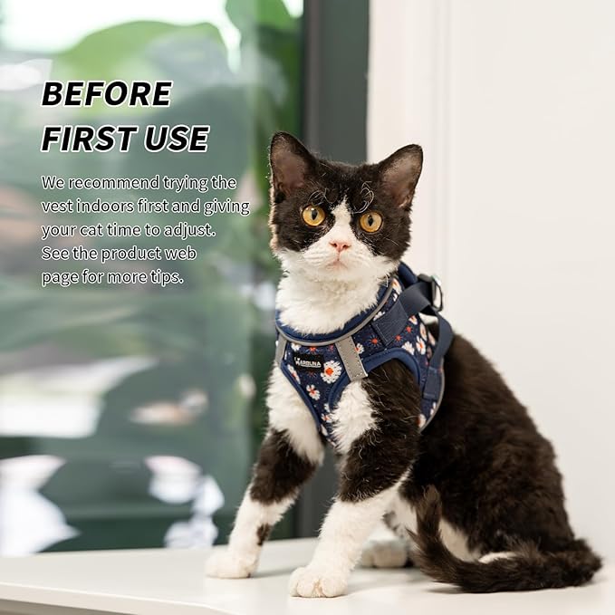Arblina Soft Mesh Cat Harness and Leash Set for Walking,Escape Proof No Choke Step in Kitten Vest Harness,Reflective Ajustable Puppy Vest for Traveling