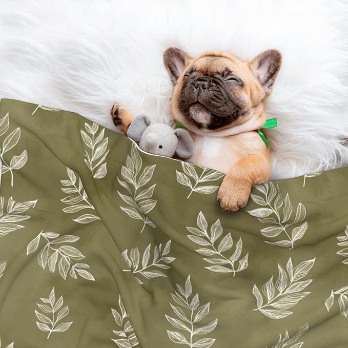 Cat Dog Blanket Cream Leaf Outlines On Olive Green Ultra Soft Warming Mat for Indoor Pet Beds Furniture 27.6 X 19.7inch