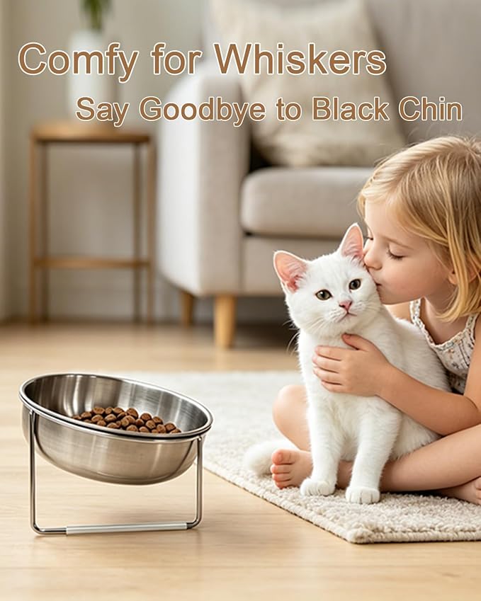 15° Tilted Cat Food Bowls 304 Stainless Steel Kitten Food Bowl Raised Food and Water Dish for Cats Elevated Cat Bowl Plate Stand Whisker Friendly Smooth Polished Easy to Clean Dishwasher Safe 2PACK