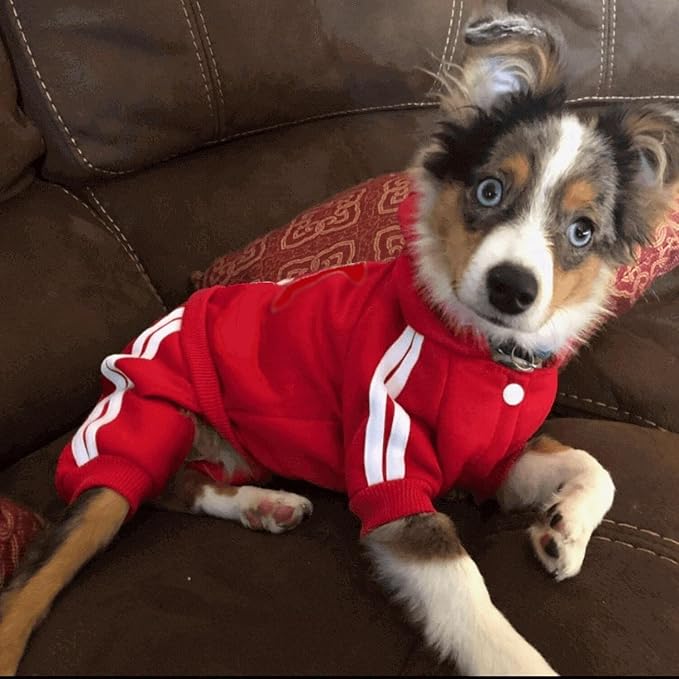 Cute Dog Hoodie Tracksuit Sweater Coat Jacket Winter Pajamas Clothes Clothing Jumpsuit 4-Legs Red for Cat Puppy Small Medium Big All Type Dogs (Small)