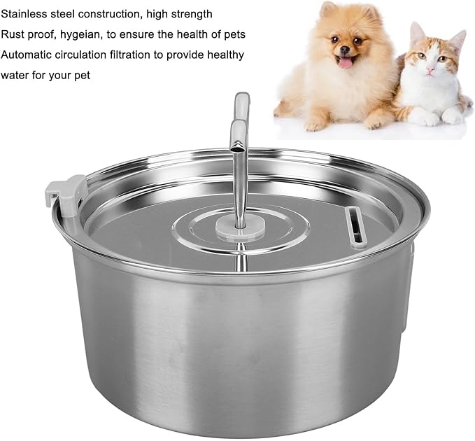 Cat Water Fountain, 3.2l Stainless Steel Dual Spout Pet Water Dispenser with Window, Automatic Circulation Dog Drinking Feeding Supplies
