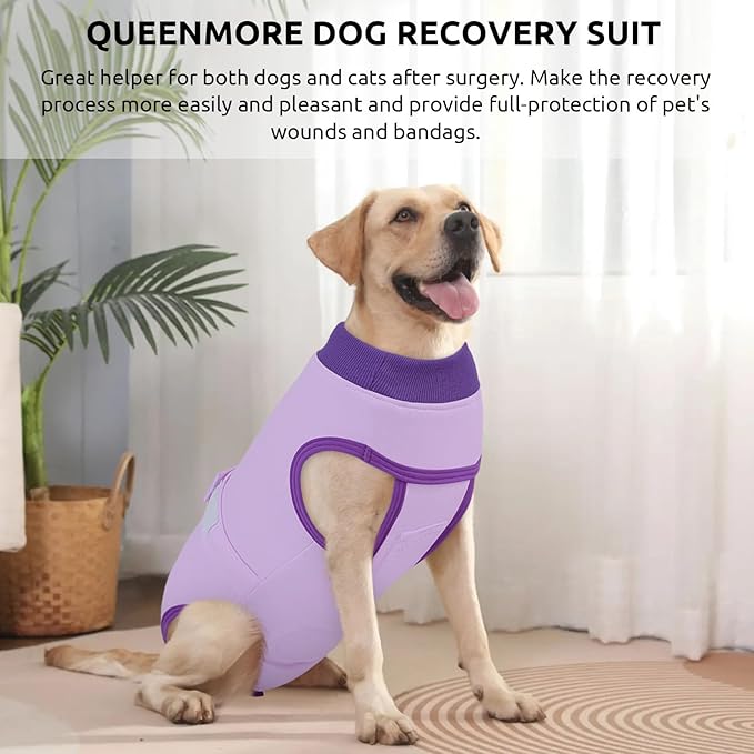 Queenmore Dog Surgical Recovery Suit Onesie, Recovery Suit for Dogs Cats After Surgery, Breathable Cotton Dog Surgery Suit Female Spay, Prevent Licking Pet Surgery Recovery Suit, Purple,XL