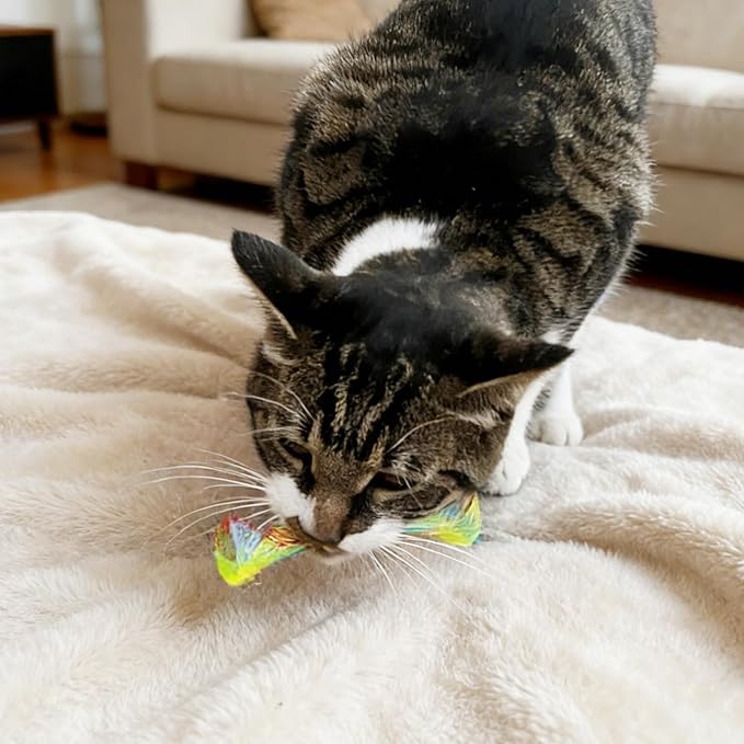 IUHKBH Cat Fun Tubes with Silvervine Sticks, 6 PCS Spring Toy Mesh Tubes Kitten Toys Self-Play Interactive Cat Toys for Swatting, Biting, Hunting & Chewing