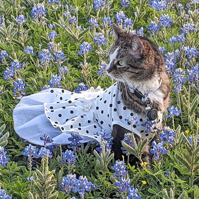 ANIAC Floral Cat Bridal Wedding Dresses Polka Dots Dog Princess Tutu Dress with Flowers Stretchy Breathable Small Puppy Clothes for Girls Pet Birthday Outfit (White, X-Small)
