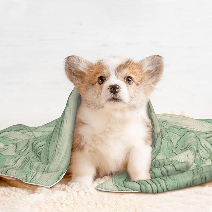 Cat Dog Blanket Pale Green Wood Ultra Soft Warming Mat for Indoor Pet Beds Furniture 27.6 X 19.7inch