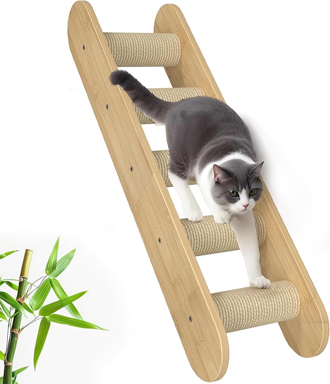 Cat Wall Shelves Furniture for Climbing - Cat House Wall Mounted - Indoor Wooden Floating Furniture - Different Models Including Shelves, Perches, Hammock, Bed, Bridges, Walkways