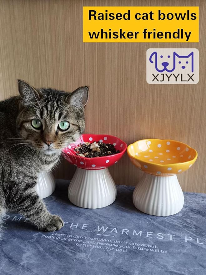 Mushroom Elevated Cat Bowls Ceramic, Raised Cat Bowl for Indoor Cats, Cute Whisker Fatigue Cat Bowl, Raised Dog Bowls Stand for Food and Water, Red 6" Wide for Adult Cats