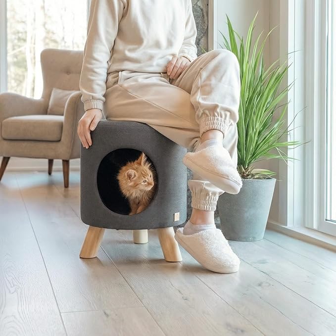4 Cats & Dogs Wallie Stool – Plush Pet Stool & Bed with Wooden Legs, Cozy Cat Condo Furniture & Pet Nook Hideaway, Multipurpose Stool with Cozy Pads for Cats & Small Dogs, Dark Grey