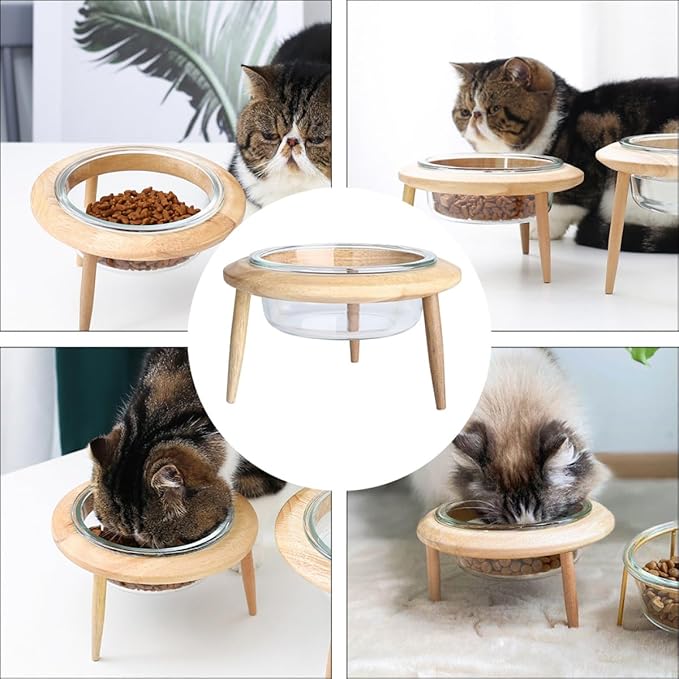 Alasum Glass Pet Feeding Bowl with Elevated Wooden Rack, 14.7cm 480ml Raised Pet Feeder for Cats and Small Dogs, Sturdy Glass Dish for Slow Feeding and Watering