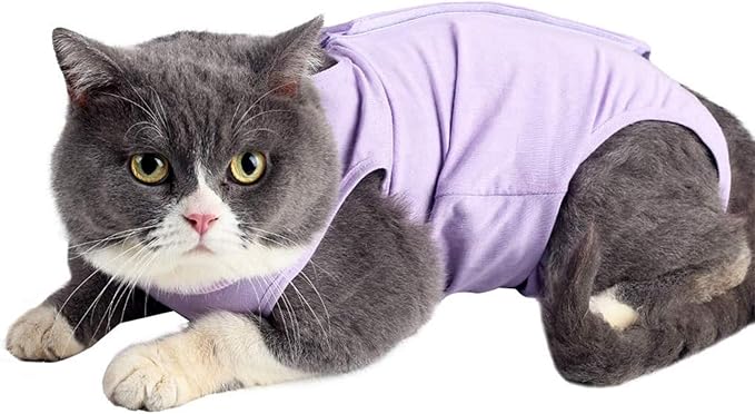 kzrfojy Cat Surgery Recovery Suit Cat Onesie for Cats After Surgery Spay Surgical Abdominal Wound Skin Diseases E-Collar Alternative Wear (Purple-S)
