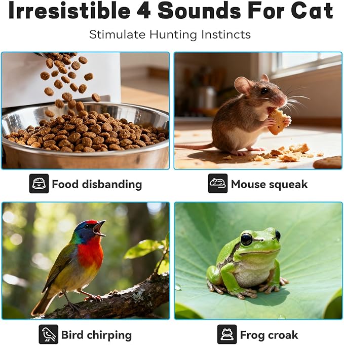 Interactive Cat Toy with Motion Activated Ball & 7 Holes Maze Mat, Hide and Seek Exercise Game for Indoor Cats, Automatic Moving Cat Ball Toy in Pouch, Rechargeable Kitten Toys, Mouse Catching Game